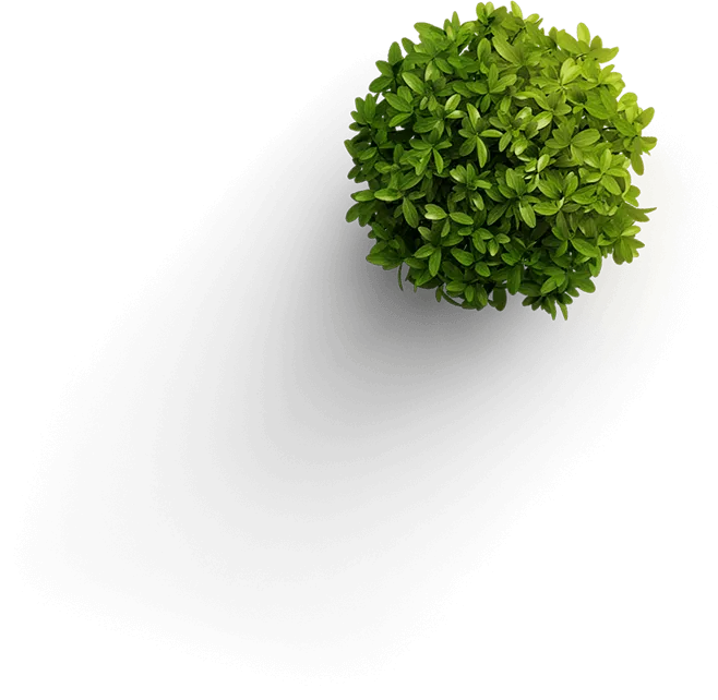 green gallery background