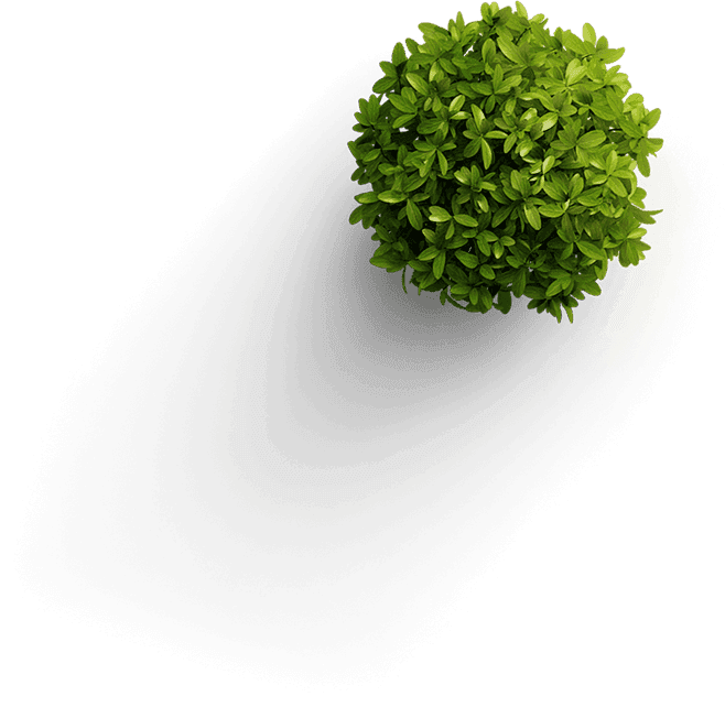 green gallery background